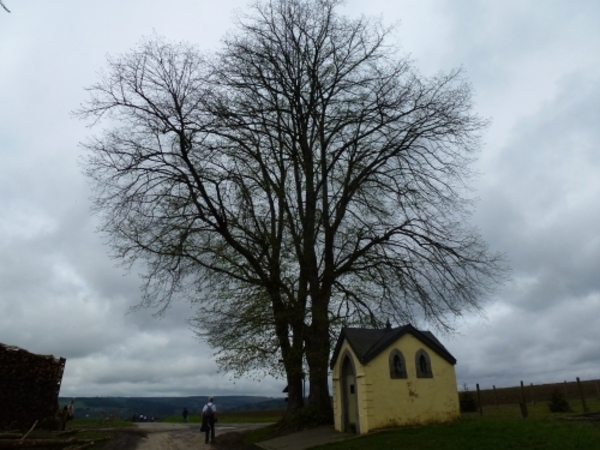 2012-05-01 Bouillon 017