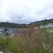 2012-05-01 Bouillon 021