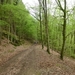 2012-05-01 Bouillon 027