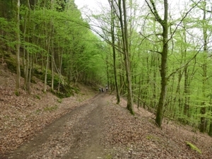 2012-05-01 Bouillon 027