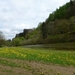 2012-05-01 Bouillon 032