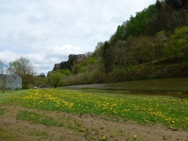 2012-05-01 Bouillon 032