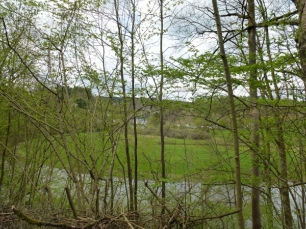 2012-05-01 Bouillon 036