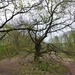 2012-04-29 Turnhout - Zoersel 042