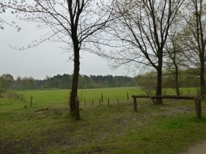 2012-04-29 Turnhout - Zoersel 045