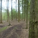 2012-04-29 Turnhout - Zoersel 071