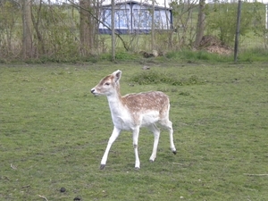 zeeland 2012 043