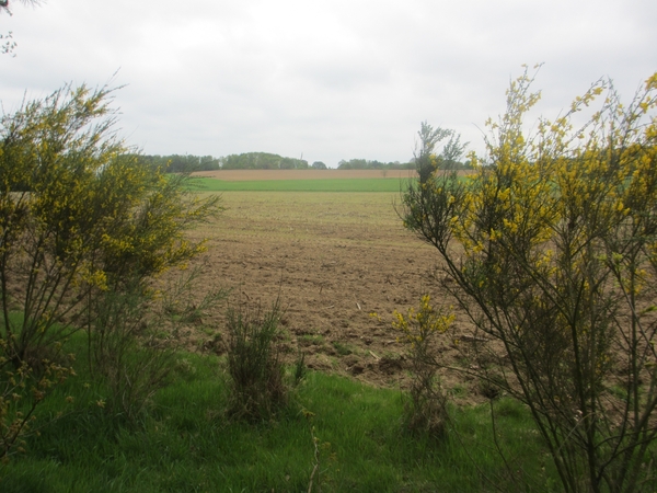 Beek, 5 mei 2012 052