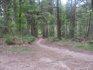 Beek, 5 mei 2012 067