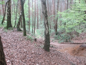 Beek, 5 mei 2012 068