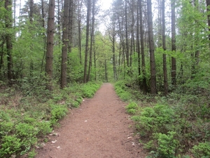 Beek, 5 mei 2012 069