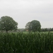 Beek, 5 mei 2012 072