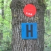 Beek, 5 mei 2012 038