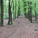 Beek, 5 mei 2012 045