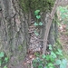 Beek, 5 mei 2012 092