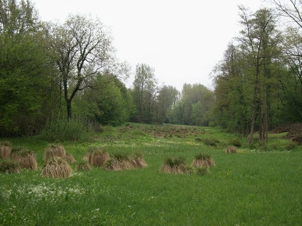 070-Natuurgebied-Duling