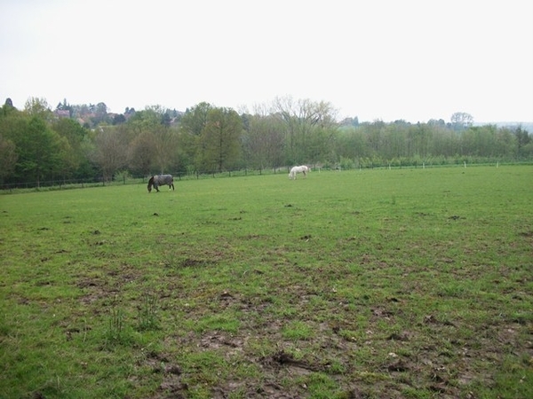 071-Via natuurgebied Duling naar Hallerbos