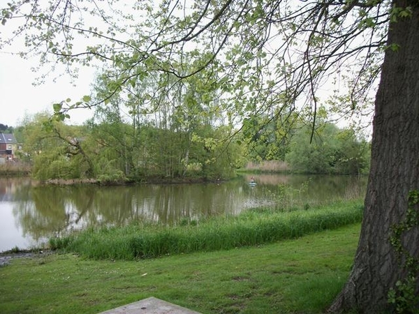 112-Kweekvijvers aan domein-Huizingen