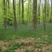 2012-05-02 KKT Gaasbeek verkenning 015
