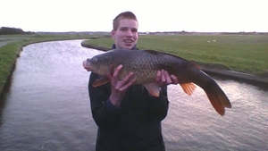 80cm karper
