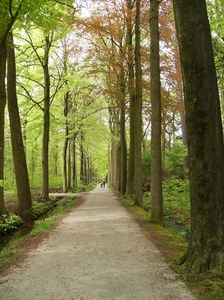 Eeklo Mei 2012 007