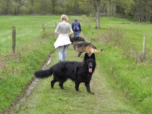 Blossom op de voorgrond