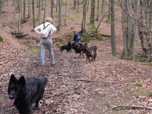 in het bos