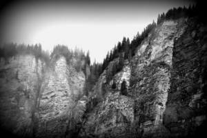 DSC_0305_02