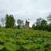 2012-05-08 Herzele 026