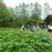 2012-05-08 Herzele 030