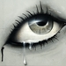 Oog