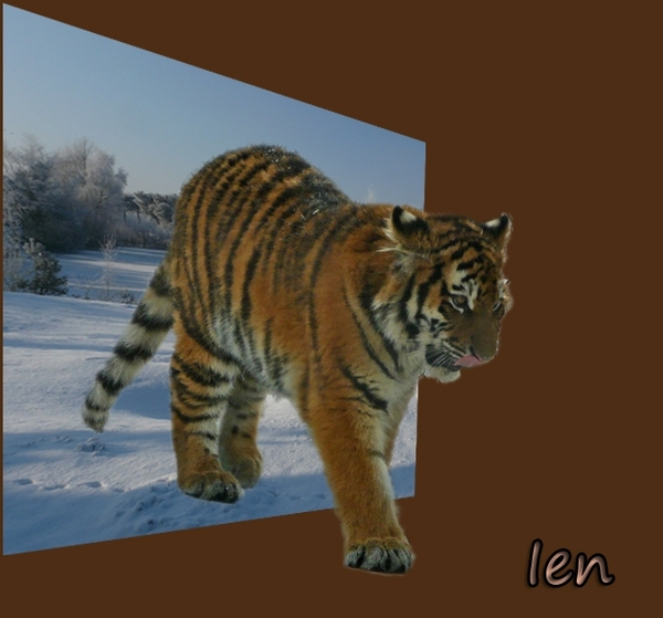les 38 Foto uit kader