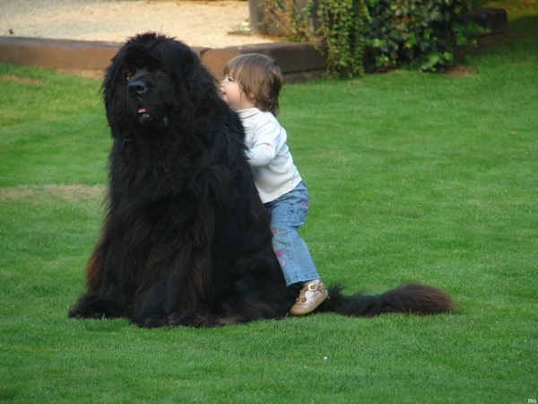 080829kyarametjoego5