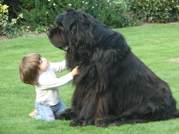 080829kyarametjoego6