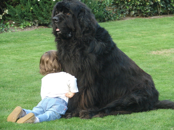 080829kyarametjoego7