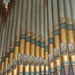 Organ pipes