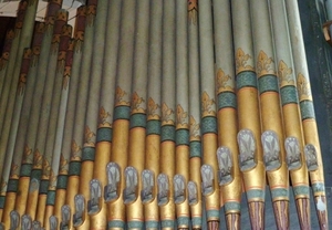 Organ pipes