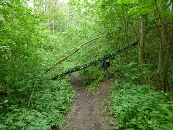 2012-05-12 Dinant 017