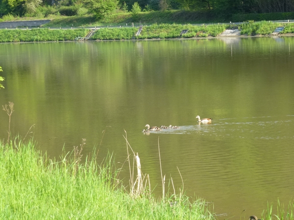 2012-05-12 Dinant 032