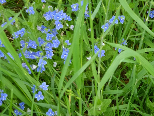 2012-05-12 Dinant 068