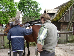 Meitocht Polen 2012 reeks 1 004