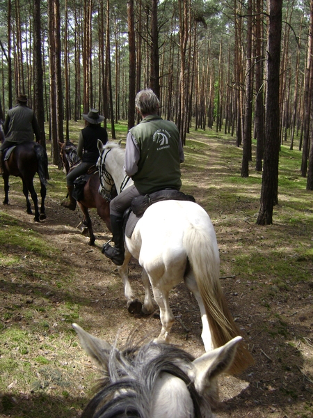 Meitocht Polen 2012 reeks 1 017