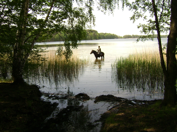 Meitocht Polen 2012 reeks 1 019