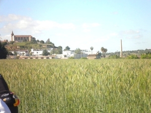 P5010192A