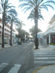 P5020278