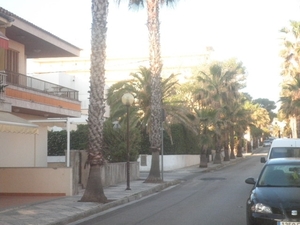 P5020280