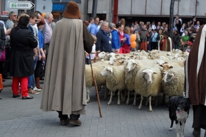 2012-05-13 Turnhout Tijlstoet (42)