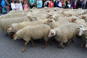 2012-05-13 Turnhout Tijlstoet (45)