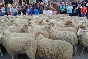 2012-05-13 Turnhout Tijlstoet (46)