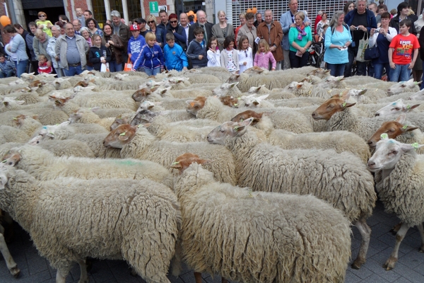 2012-05-13 Turnhout Tijlstoet (46)